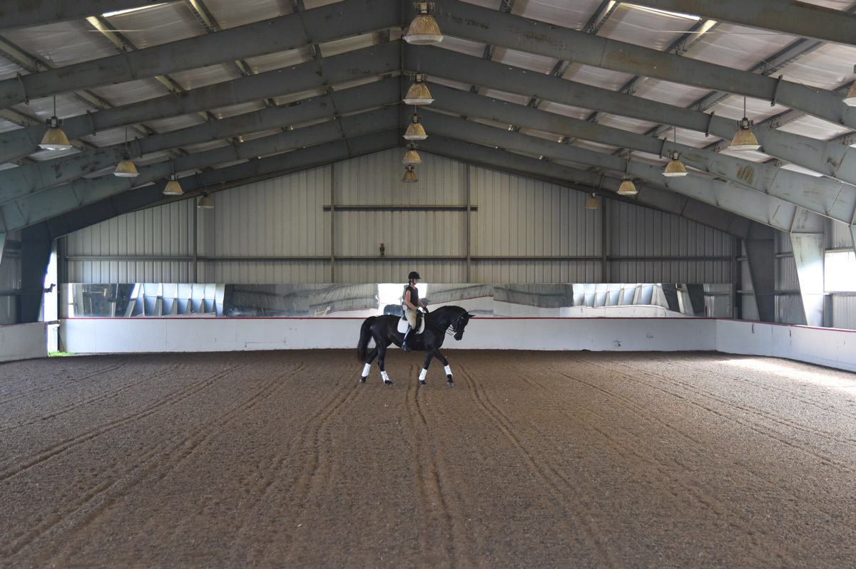 Equestrian Indoor riding arena training facility in best farm in NJ English riding horses dressage