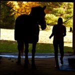 horse stable indoor boarding training new jersey warren retirement self care pasture track training