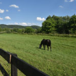 best pasture fields horse training center arena equine retirement self care NJ warren county clinton, NJ I-78