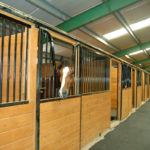 best stable in NJ best horse boarding equine training facility center arena training dressage indoor riding arena track