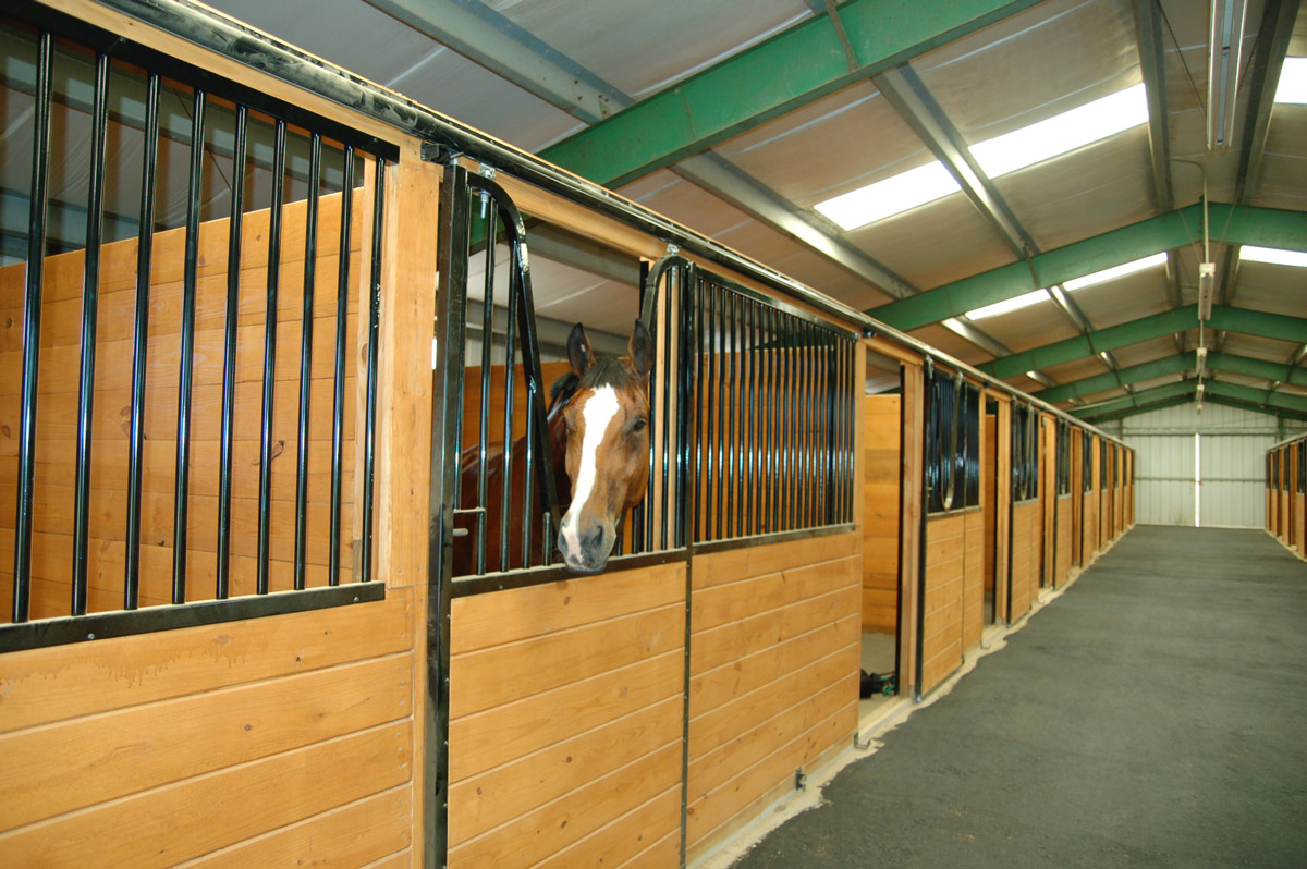 best stable in NJ best horse boarding equine training facility center arena training dressage indoor riding arena track