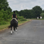 exercise track horse training in NJ farm arena facility center boarding stables Warren County Hunterdon County near 08885 08886
