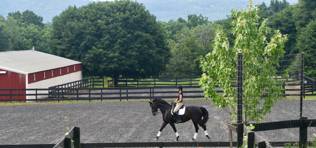 horse training farm in NJ near I-78 Warren County Hunterdon County training boarding facility center farm