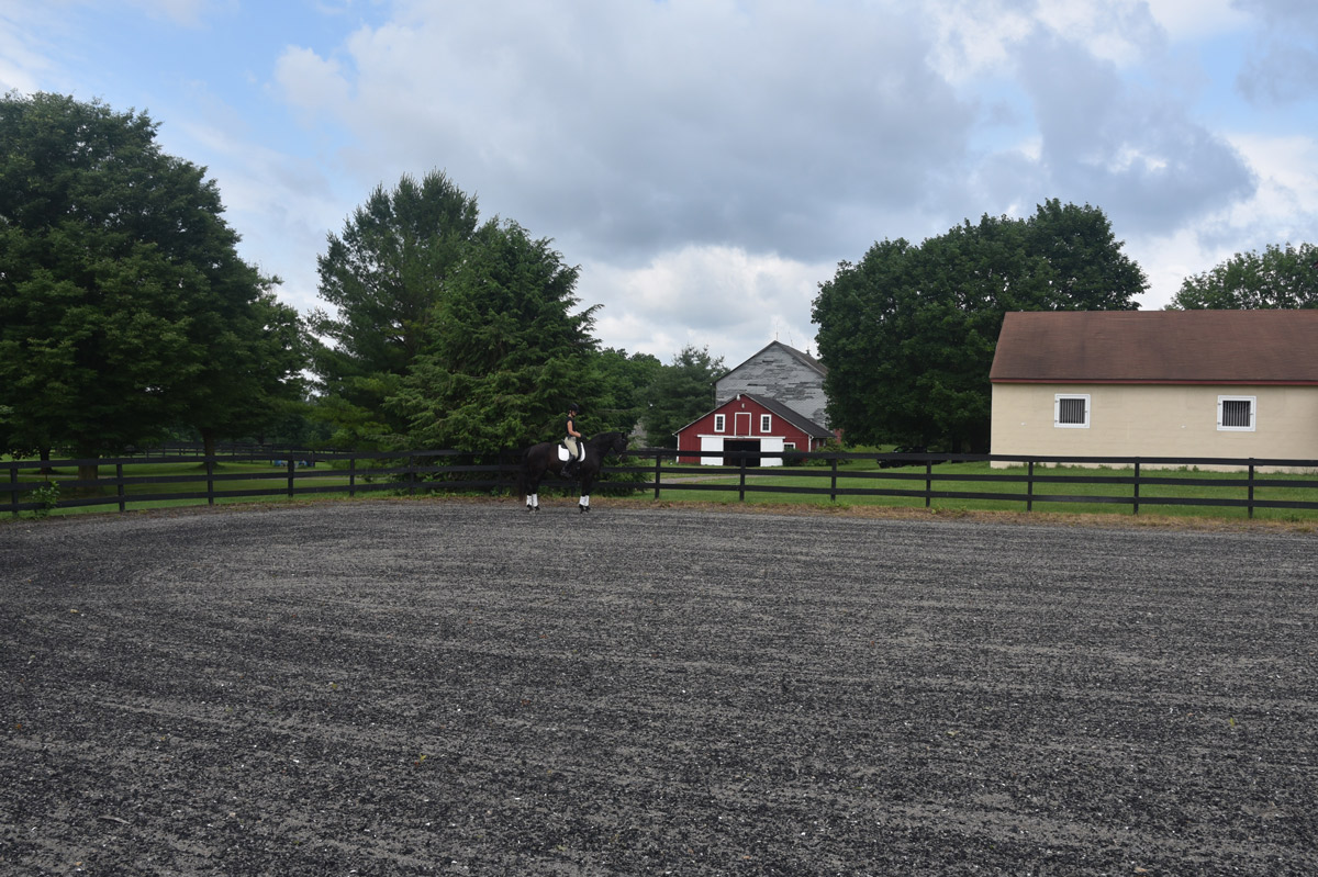 best horse farm in NJ Warren County Hunterdon County training boarding center