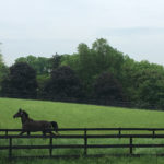 pasture riding training horse farm near 78 near 08885 08886 clinton hunterdon warren
