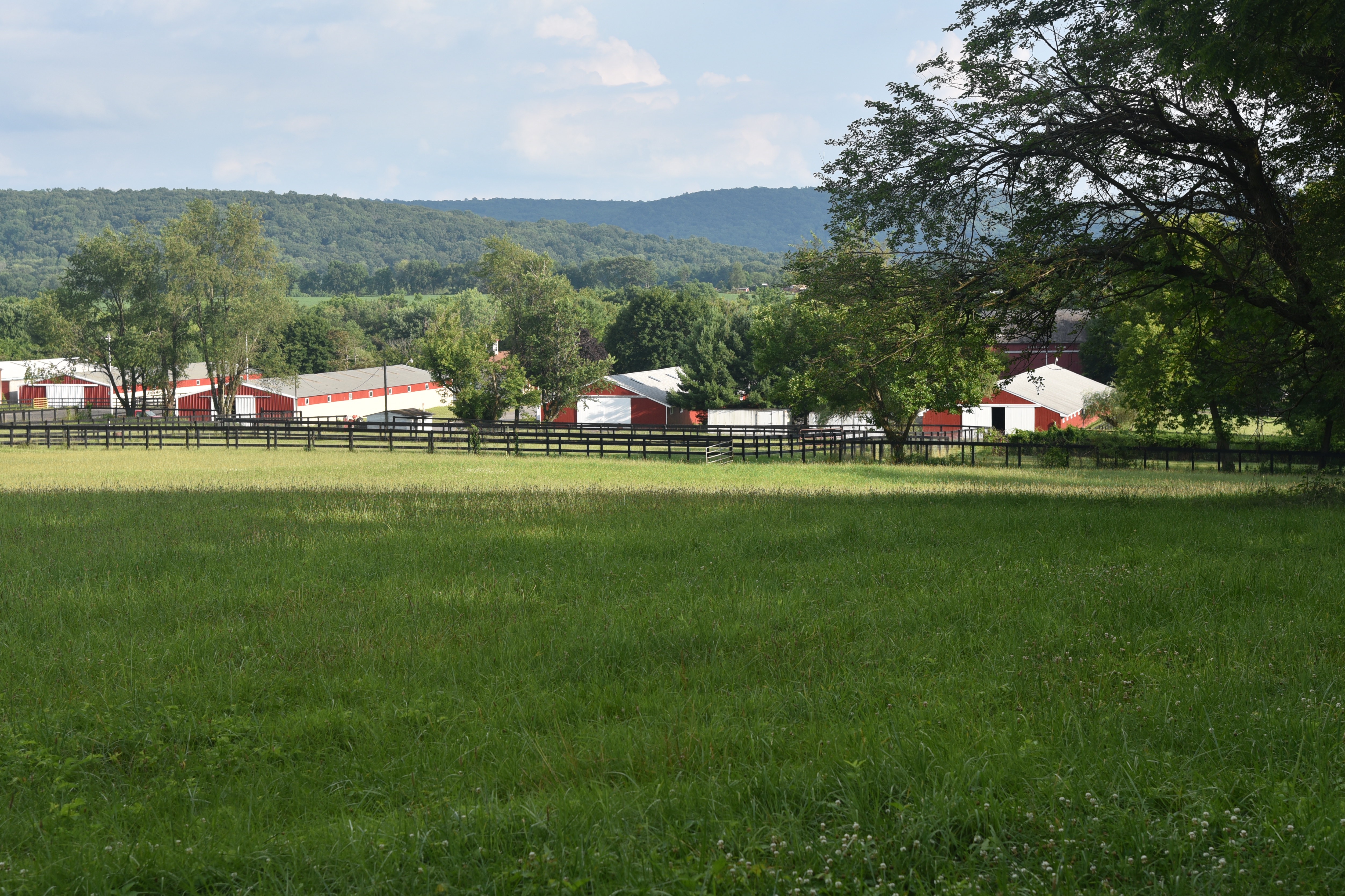 equestrian barns riding facility barn training exercise new jersey rental